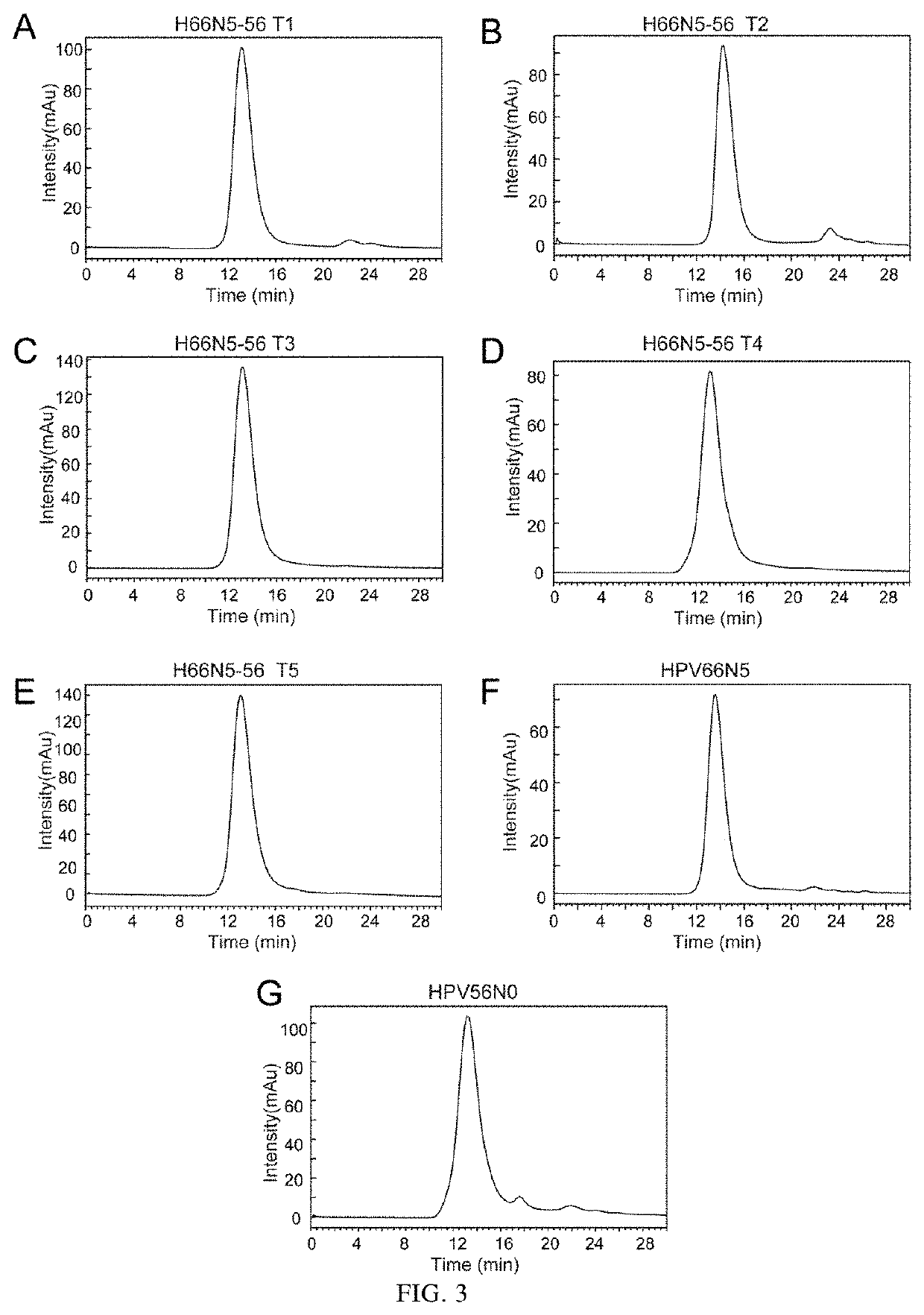 Mutant of L1 Protein of Human Papillomavirus Type 66