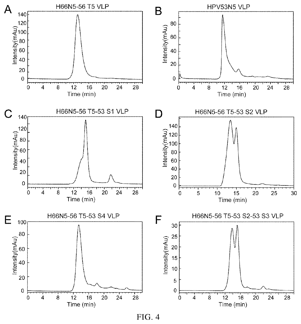 Mutant of L1 Protein of Human Papillomavirus Type 66