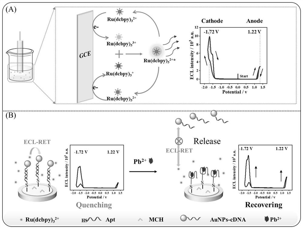 Carboxyl ligand induced annihilation type ratio electrochemiluminescence aptamer sensing method for detecting Pb &lt; 2 + &gt;
