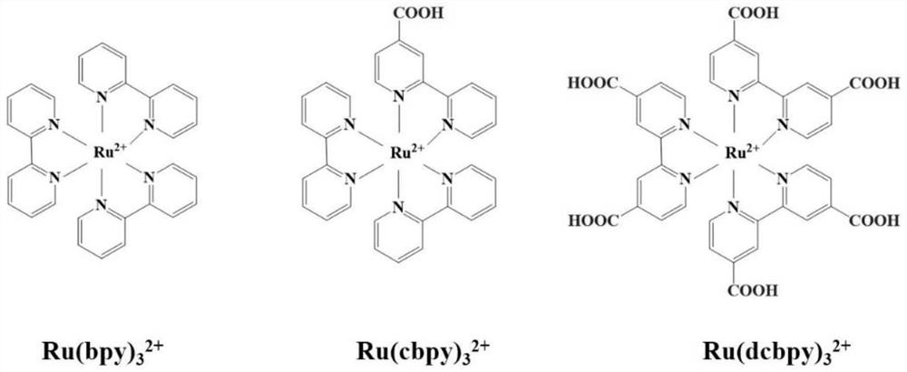 Carboxyl ligand induced annihilation type ratio electrochemiluminescence aptamer sensing method for detecting Pb &lt; 2 + &gt;