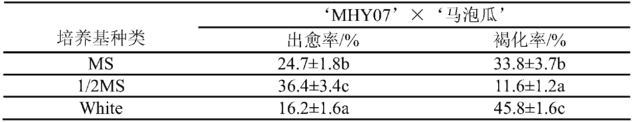 A method for obtaining hybrids of wild species of Melon and cultivated thick-skinned melon