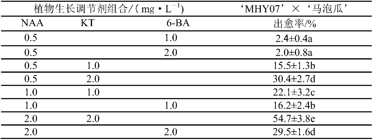 A method for obtaining hybrids of wild species of Melon and cultivated thick-skinned melon