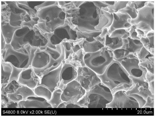 A kind of thermoplastic polyurethane/graphene foam material and its preparation method and application