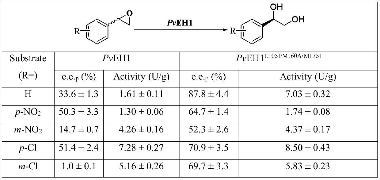 A Mutant of Phaseolin Epoxide Hydrolase with Improved Catalytic Activity and Enantionormality
