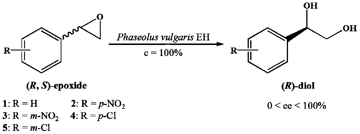 A Mutant of Phaseolin Epoxide Hydrolase with Improved Catalytic Activity and Enantionormality