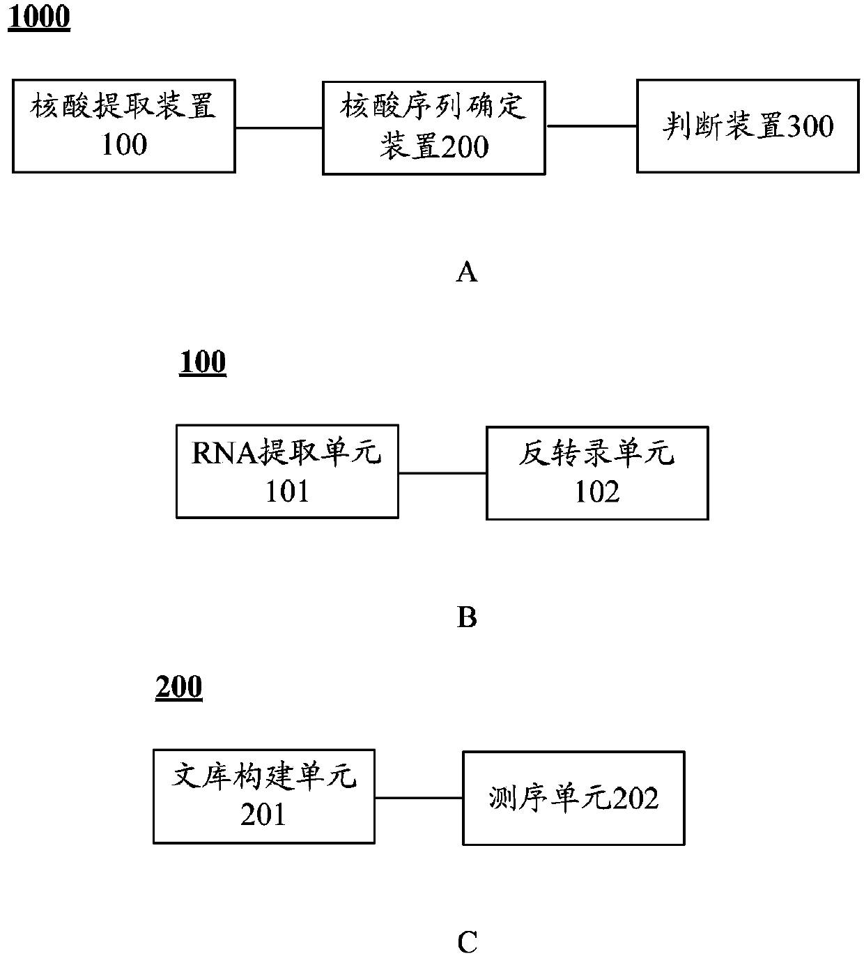 CYP4V2 gene mutant and application thereof