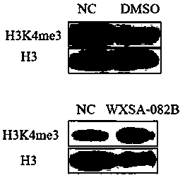 Compound based on inhibiting histone demethylase as well as preparation method thereof and application in resisting gastric carcinoma