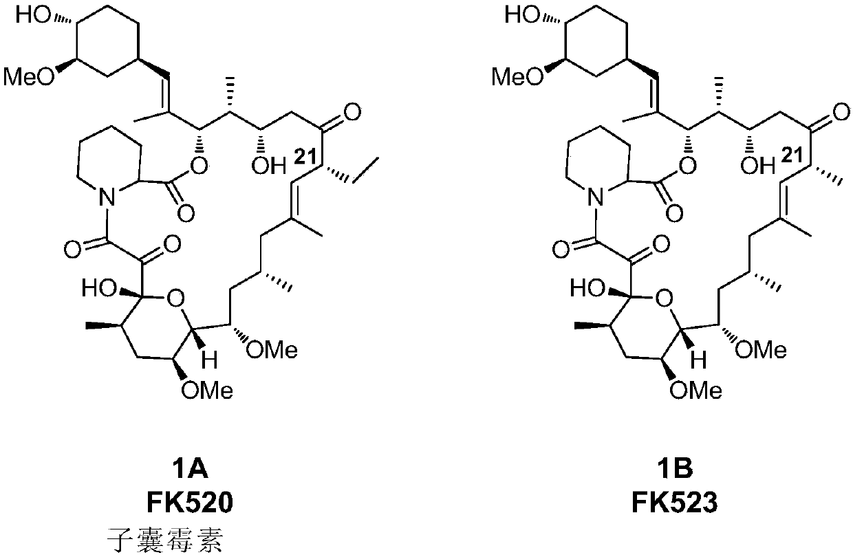 Method for constructing engineering strain with high yield of FK520 and strain with high yield of Streptomyces hygroscopicus