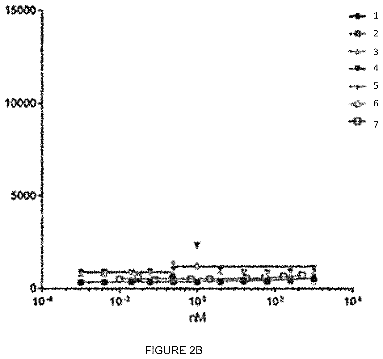 Human follicle-stimulating hormone receptor (FSHR) extracellular domain antibodies and methods of use thereof