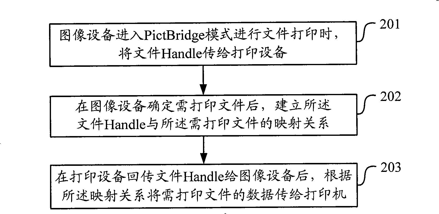 Handle processing method and device under PictBridge standard