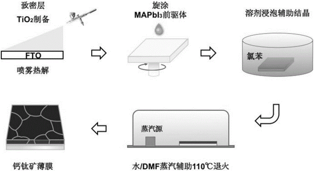 High quality perovskite thin film, solar cell and preparation method thereof