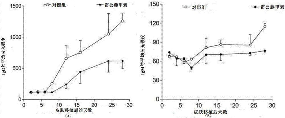 Triptolide and application of modifier thereof to inhibition of antibody generation by B cells