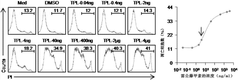 Triptolide and application of modifier thereof to inhibition of antibody generation by B cells