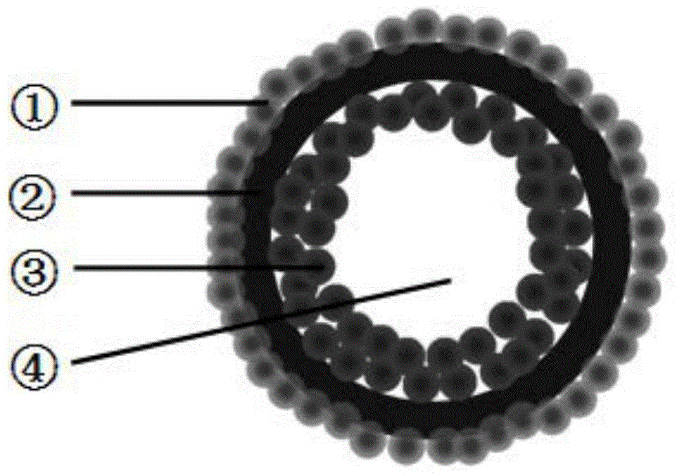 Magnetic targeted ultrasound imaging microsphere preparation method