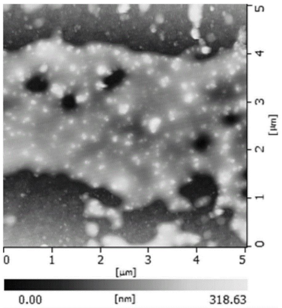 Magnetic targeted ultrasound imaging microsphere preparation method