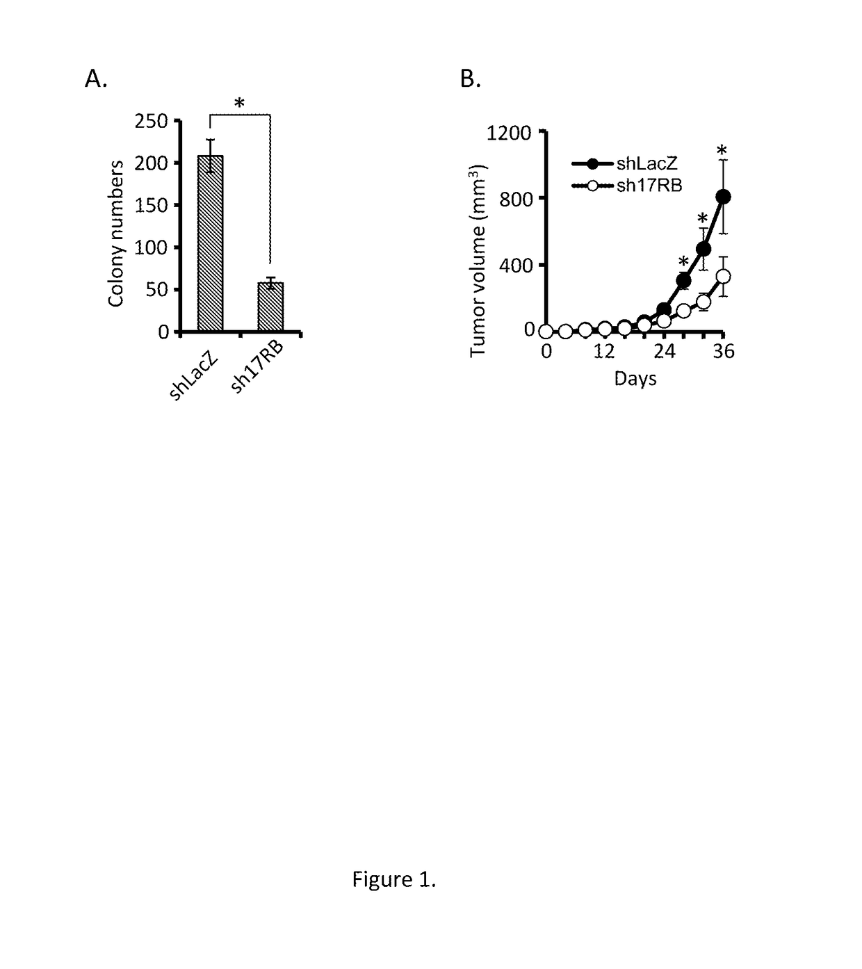 Antagonists for interleukin-17 receptor b (il-17rb) and its ligand il-17b for cancer therapy