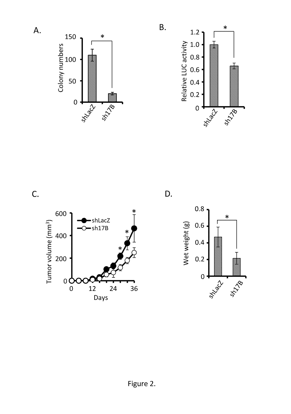 Antagonists for interleukin-17 receptor b (il-17rb) and its ligand il-17b for cancer therapy