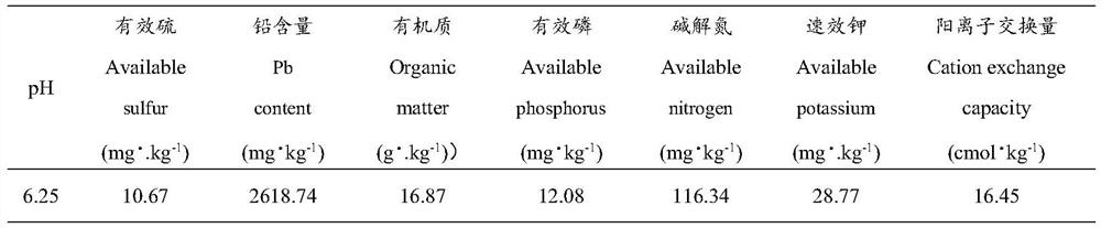 Regulation and control method for promoting excessive absorption and accumulation of lead by Arabis alpina Linn. var. parviflora Franch. through mediation of sulfur