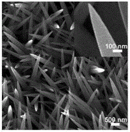 Preparation method for NiCoP nanowire electro-catalytic electrode