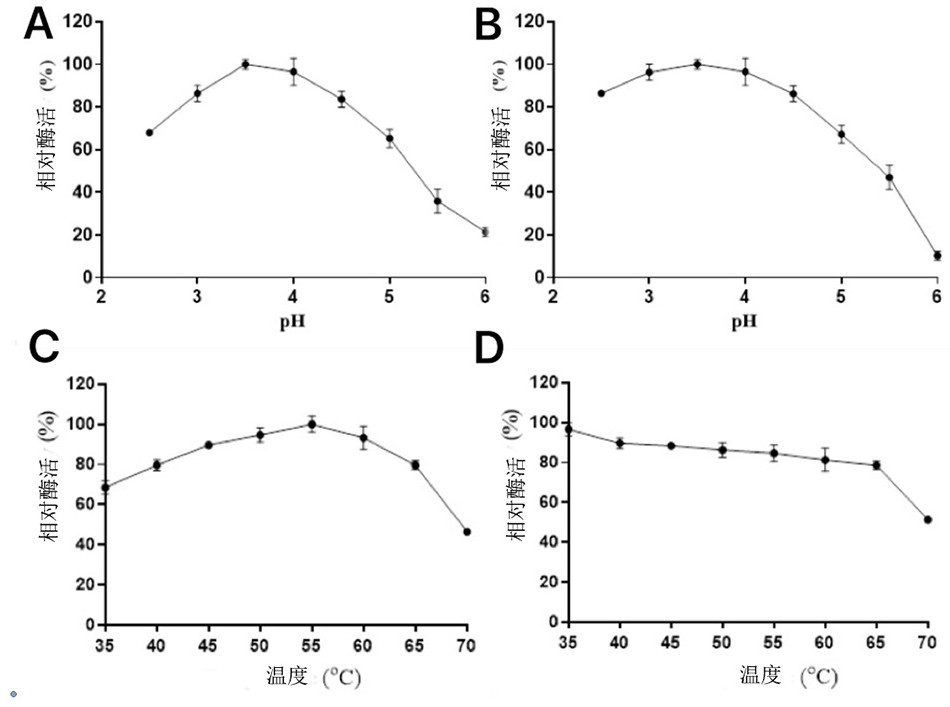 Pectinase gene, pectinase, recombinant vector and application thereof in blueberry processing