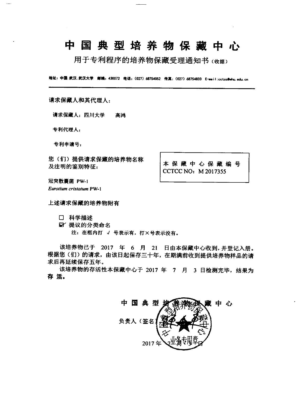 Saccharomyces coronata and its application, black tea and its processing method