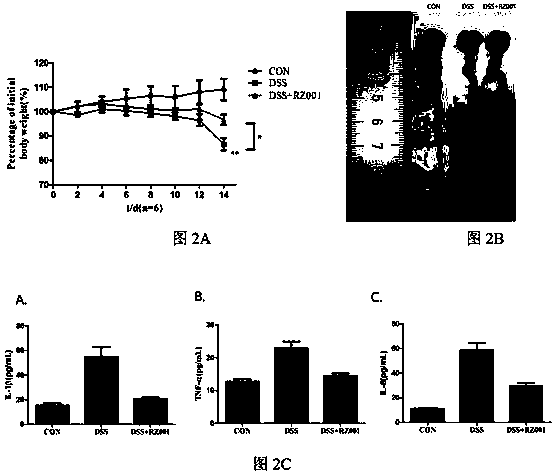 Bacillus subtilis having effects of relieving enteritis and promoting development of intestines and application