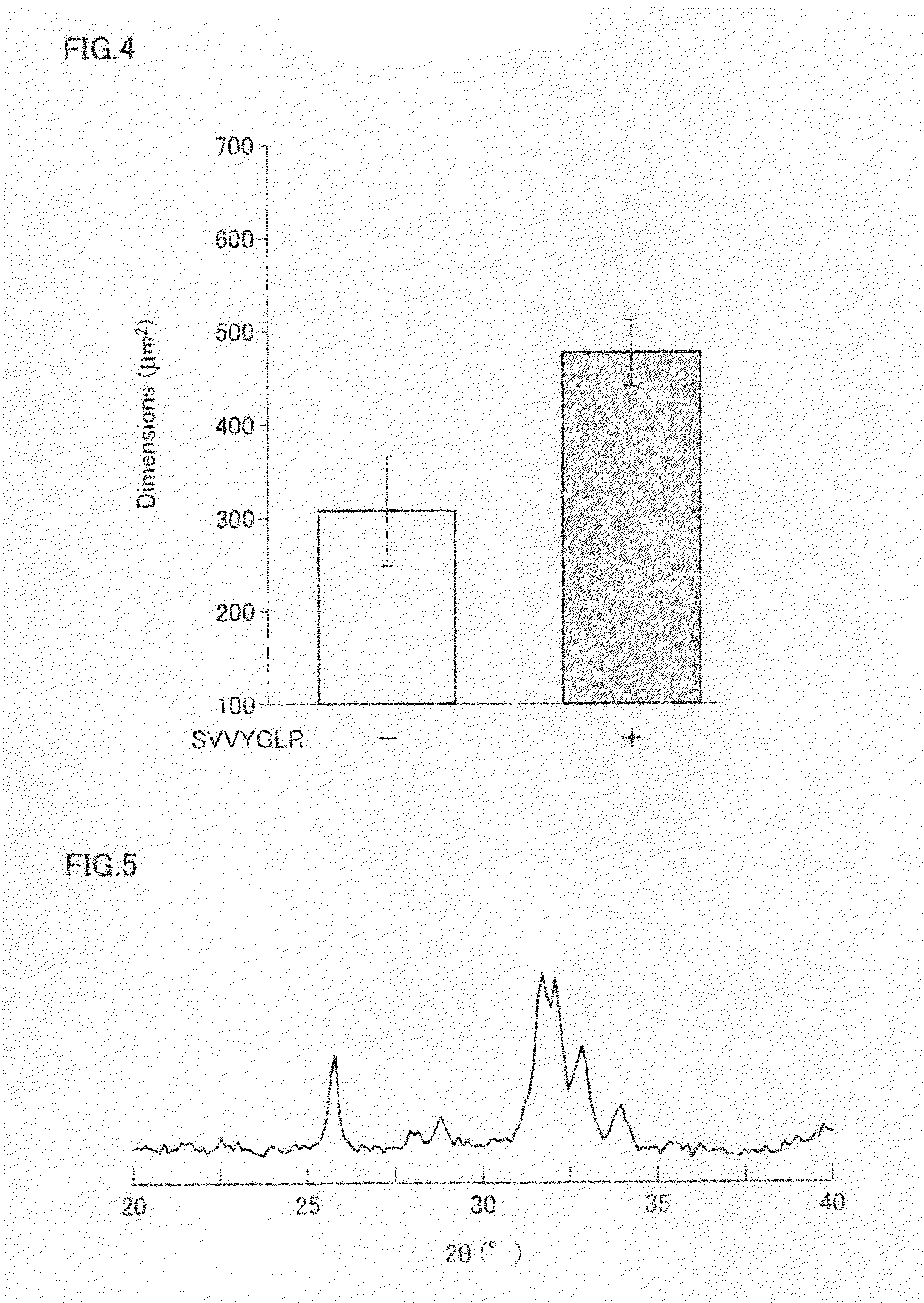 Mesenchymal cell proliferation promoter and skeletal system biomaterial