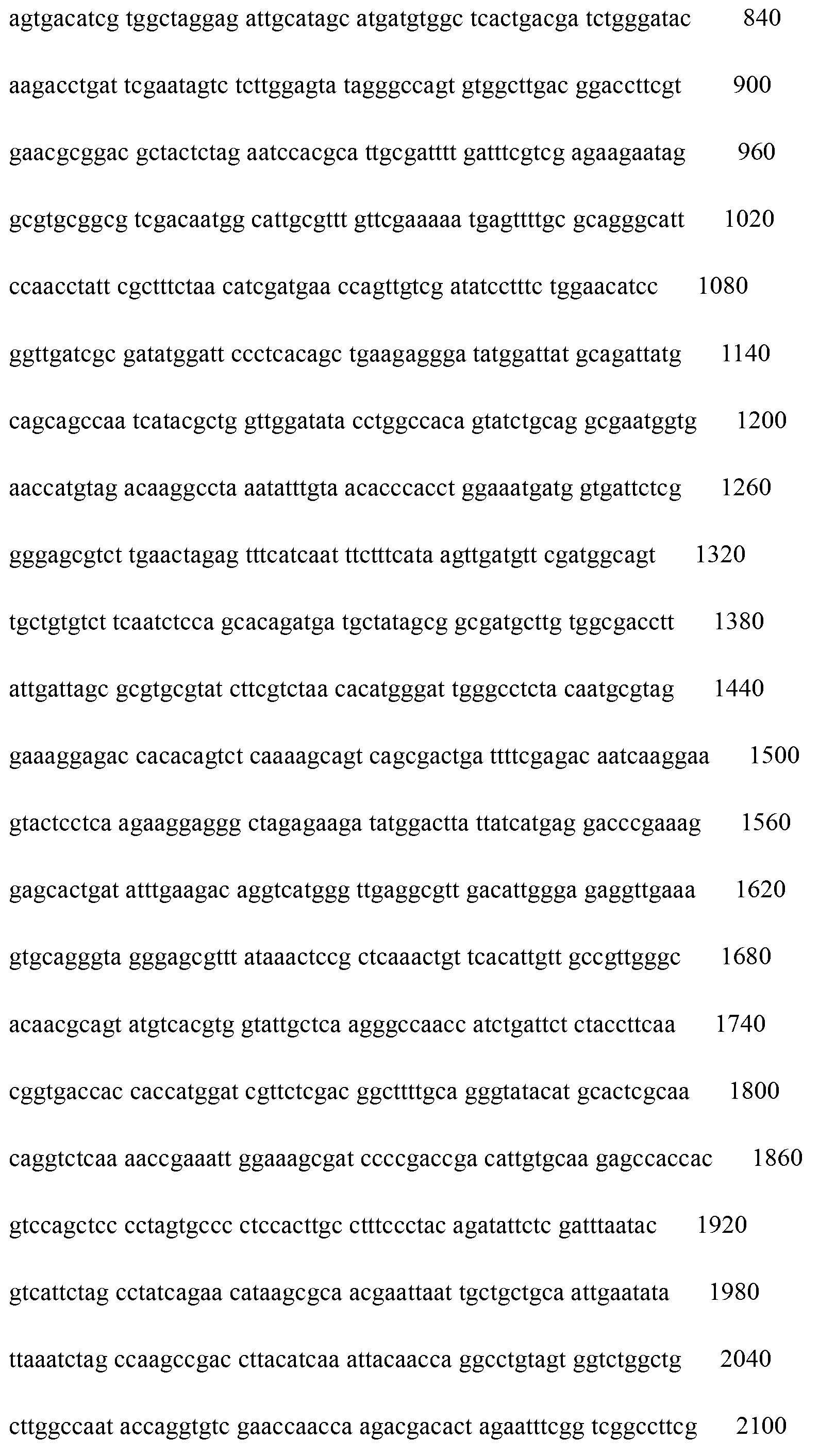 Method for rapidly screening hybrid strains of straw mushroom by using molecular marker