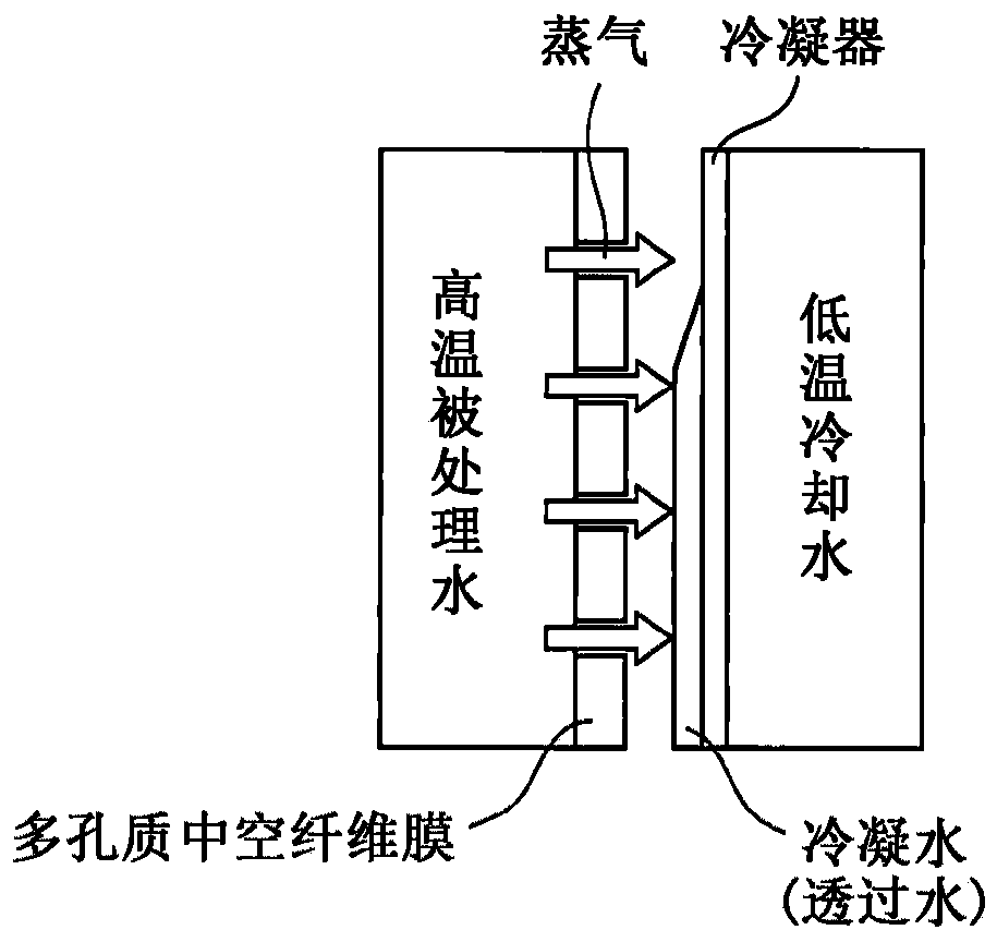 Porous membrane for membrane distillation, and method for operating membrane distillation module