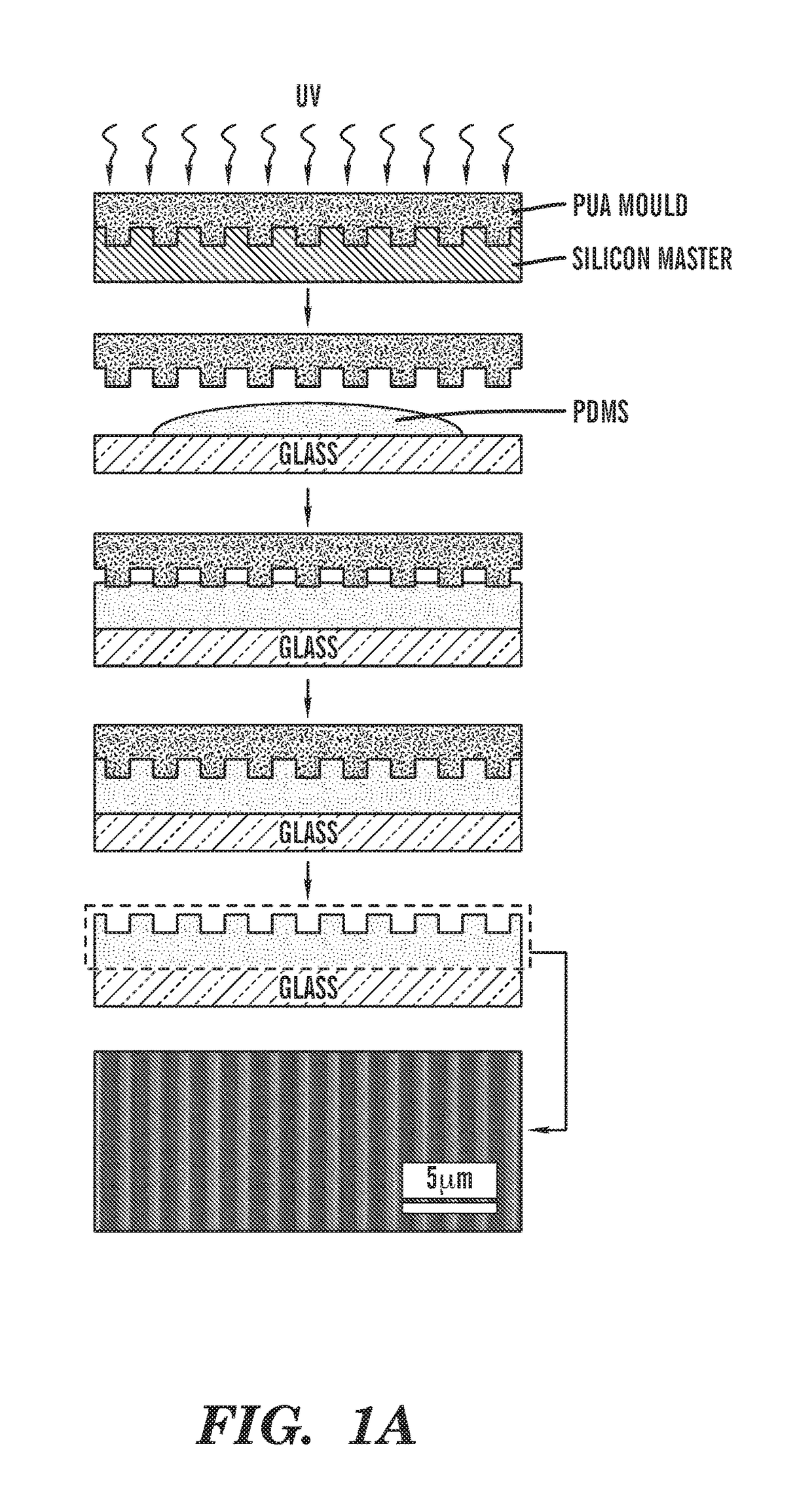 Micro-and nanopatterned substrates for cell migration and uses thereof