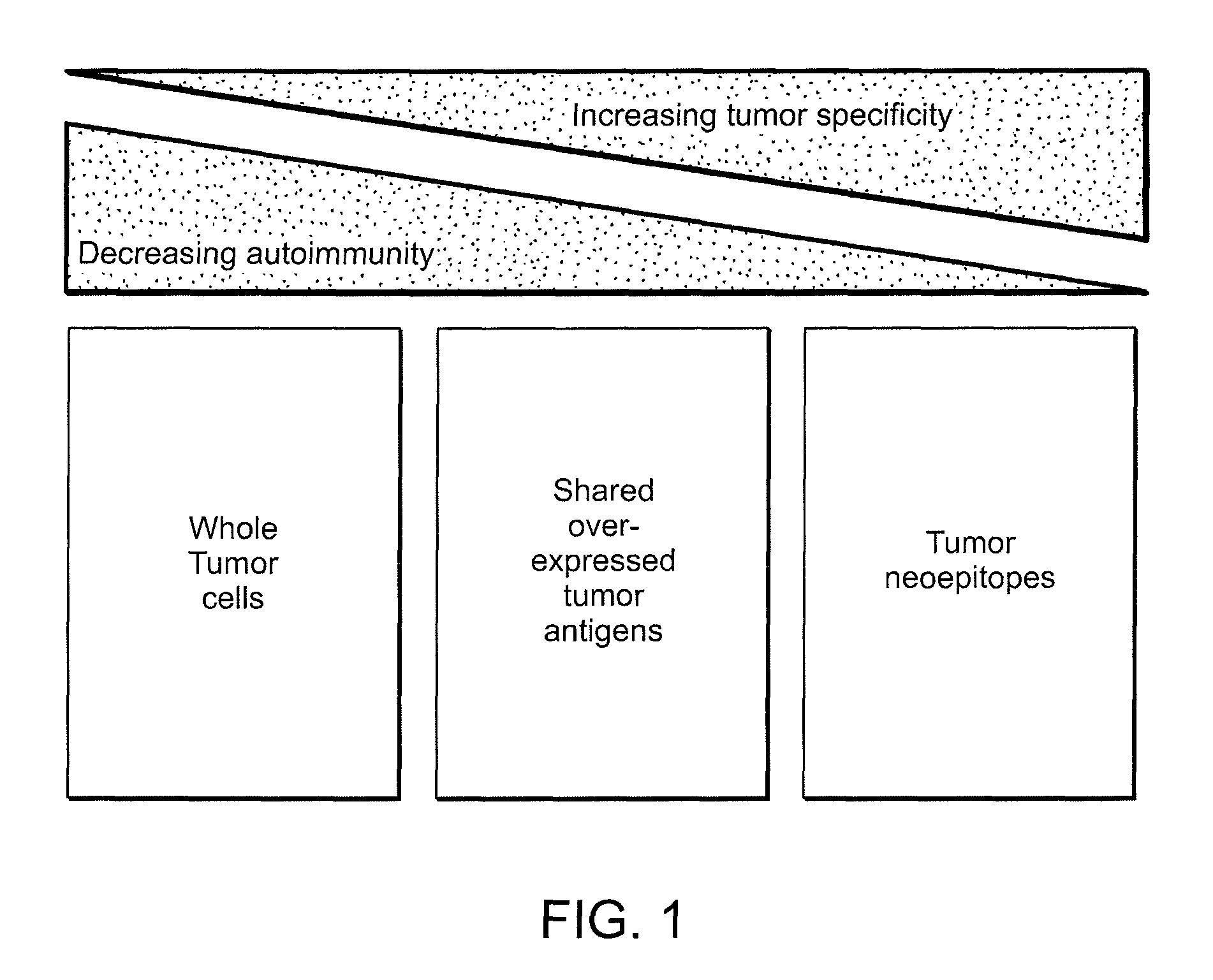 Compositions and methods of identifying tumor specific neoantigens