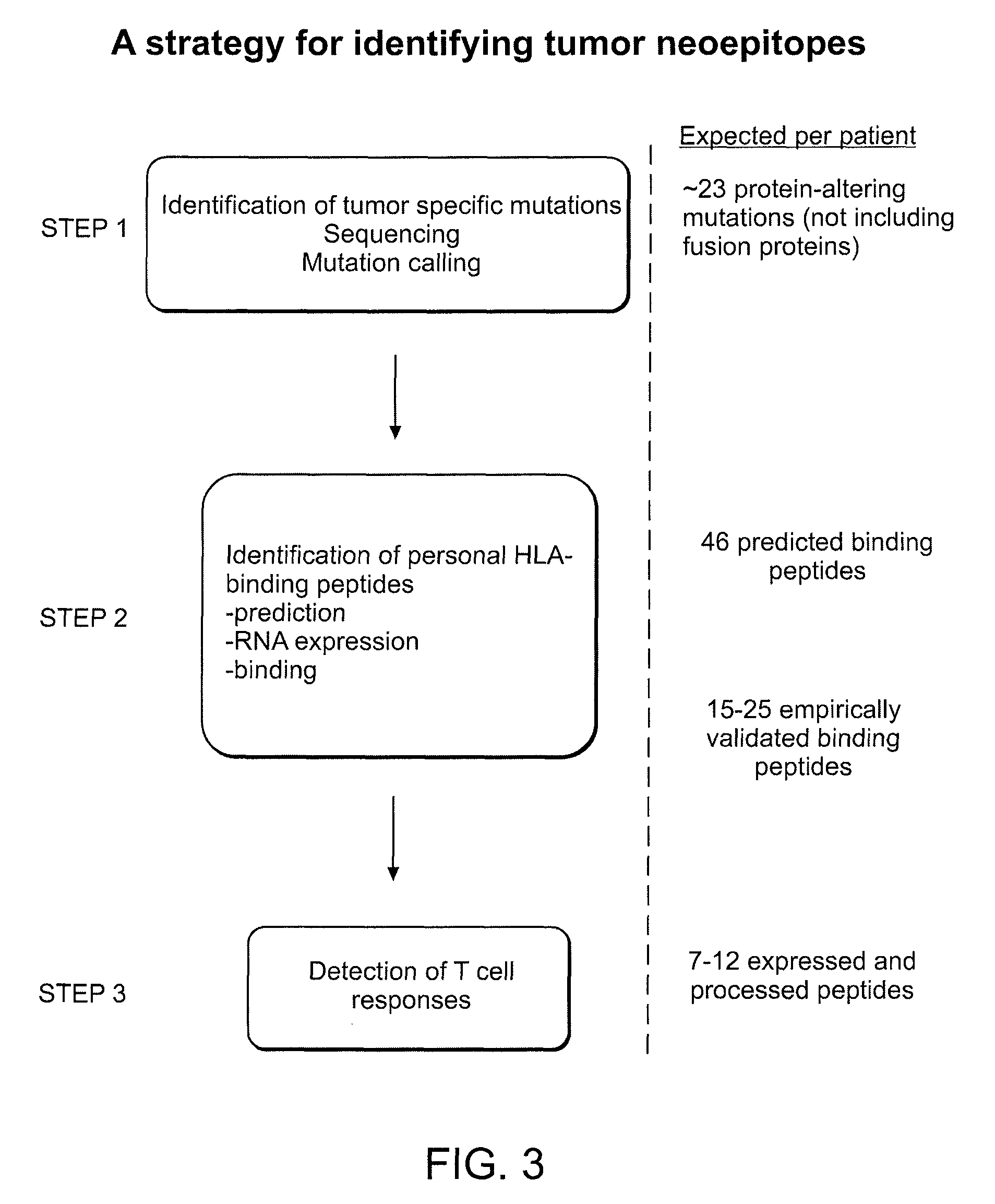 Compositions and methods of identifying tumor specific neoantigens