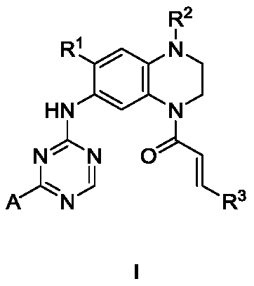 Triazine double aromatic ring derivative epidermal growth factor inhibitor and preparation method and application thereof
