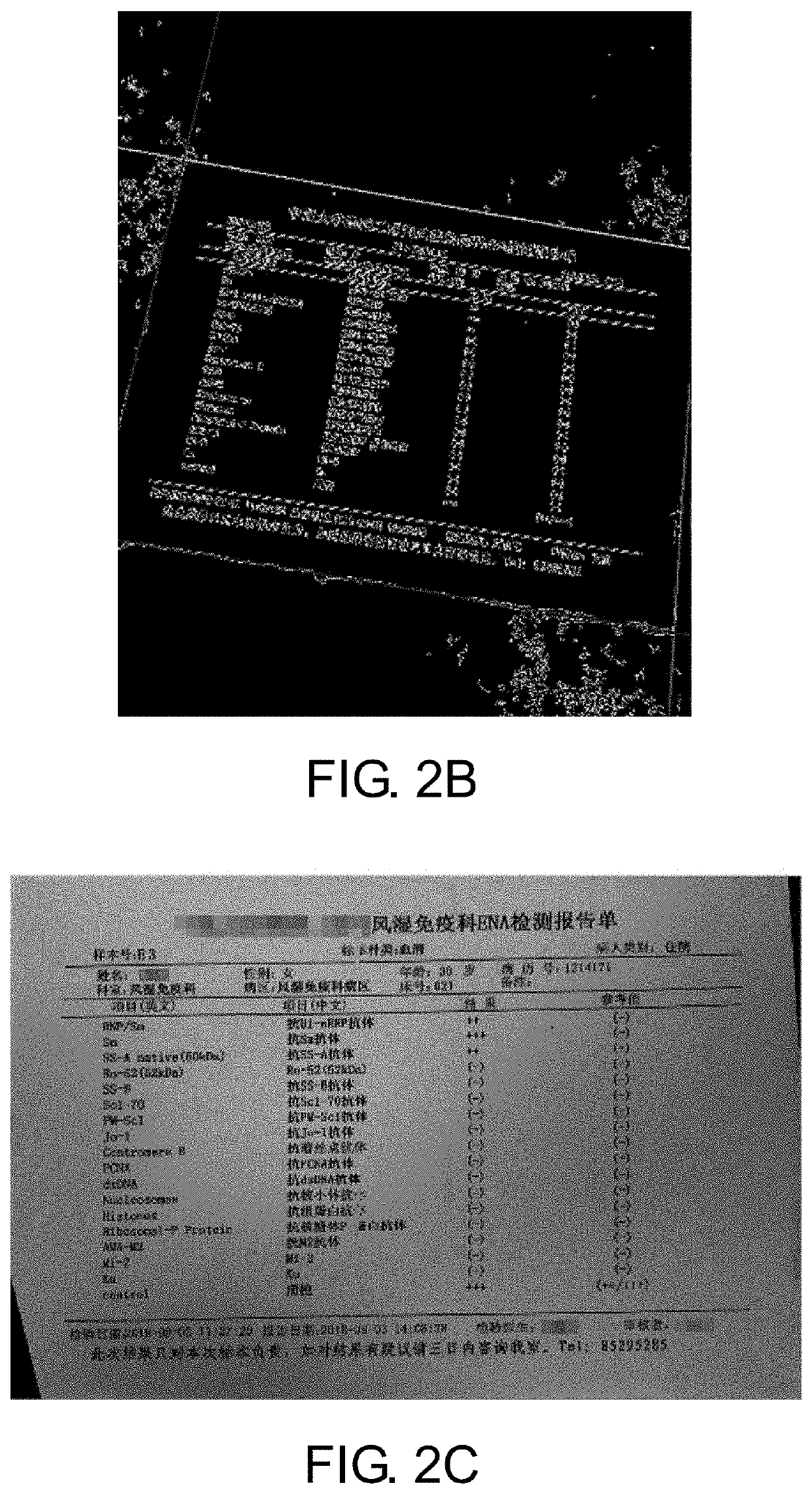 Edge detection method and device, electronic equipment, and computer-readable storage medium