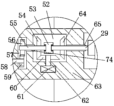 Trunk surface spraying device