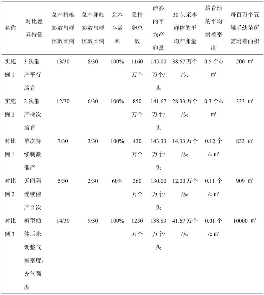 A method for multiple times of induction and multiple batches of attachment to improve the utilization rate of tropical sea cucumber cultivation pools and parent cucumbers