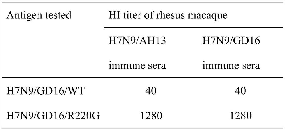 A highly pathogenic h7n9 avian influenza virus antigen with low receptor binding activity and preparation method thereof