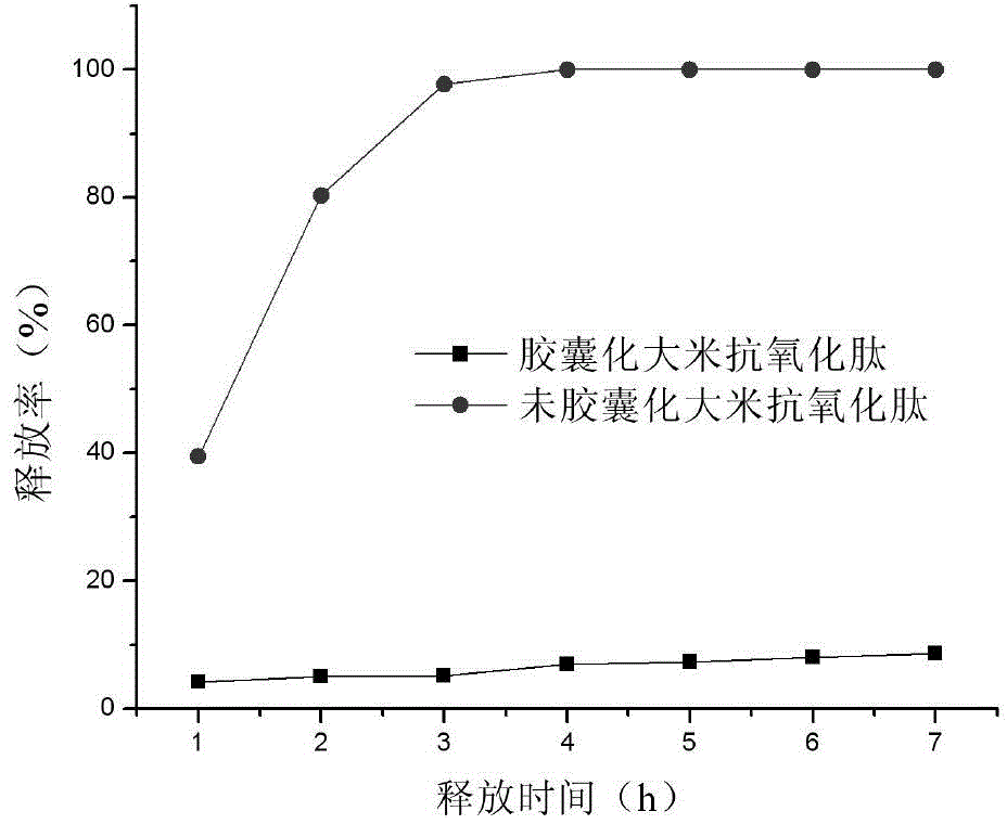 A kind of rice antioxidant peptide microcapsule and preparation method thereof