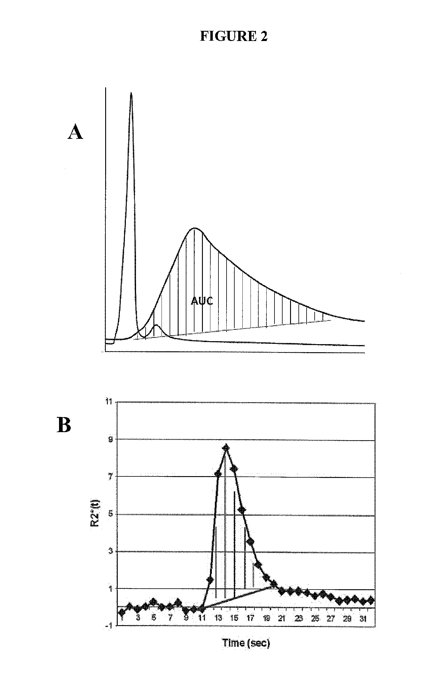 Targeted treatment of anerobic cancer