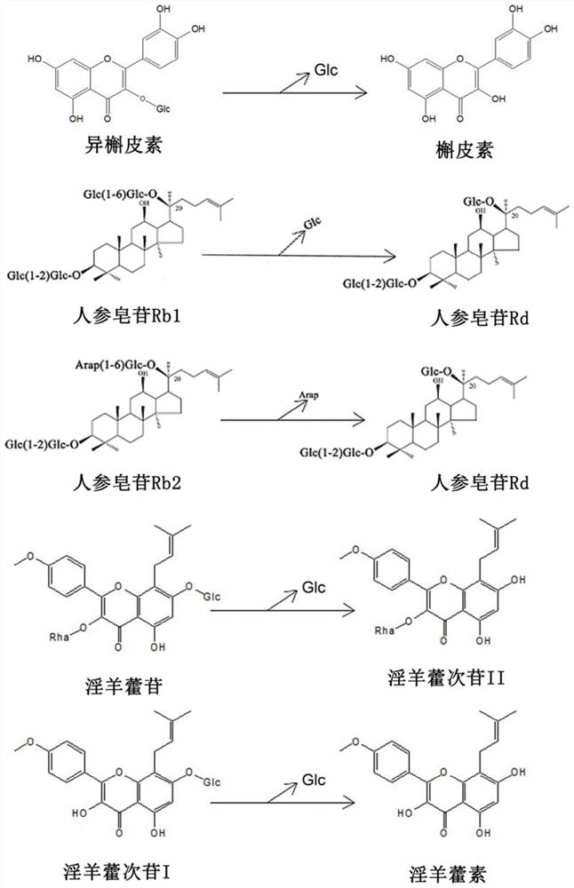 Beta-glucosidases, coding gene thereof, and expression and application of beta-glucosidases