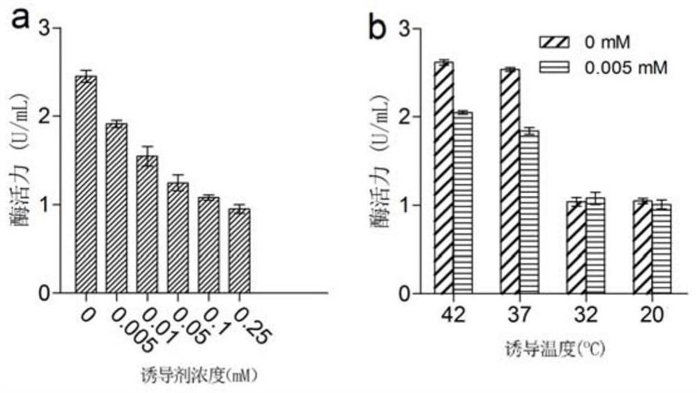 Beta-glucosidases, coding gene thereof, and expression and application of beta-glucosidases