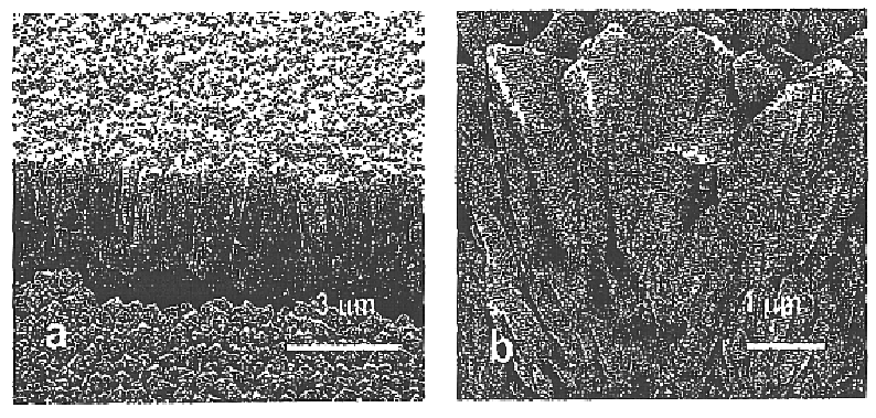 Monazite-based thermal barrier coatings