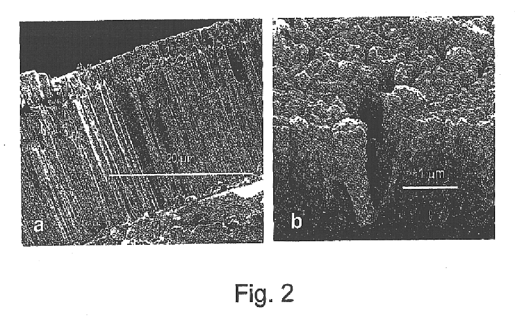 Monazite-based thermal barrier coatings