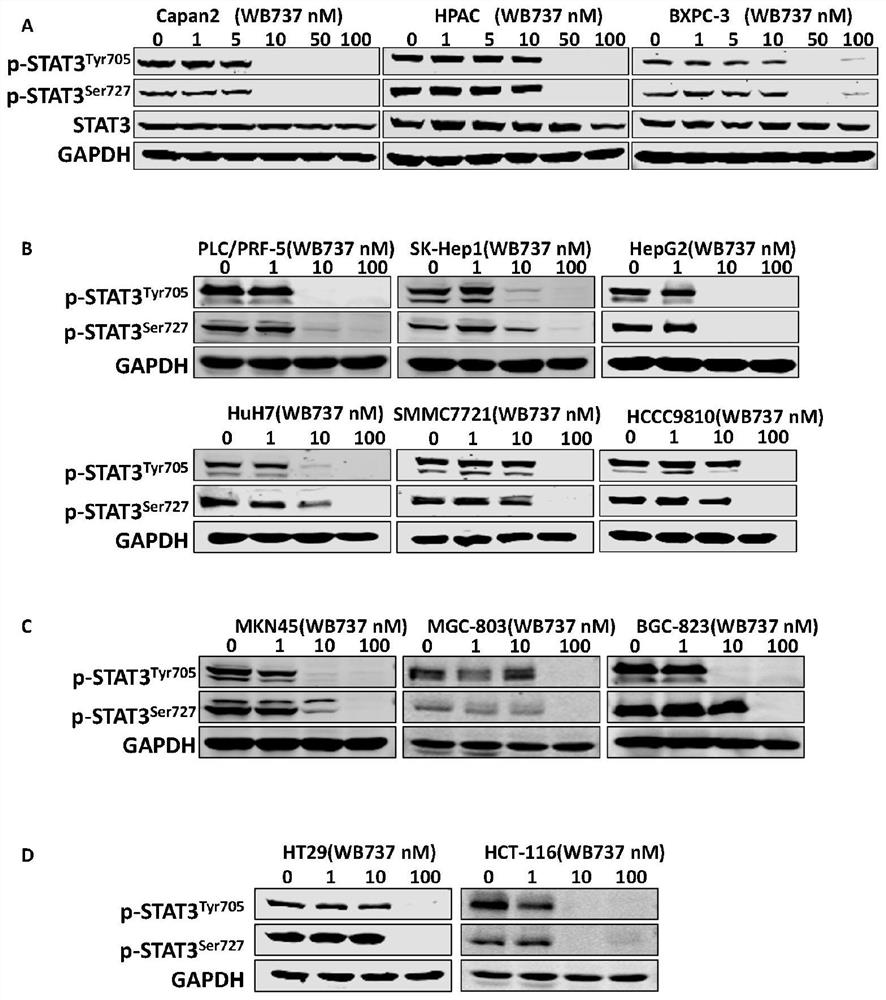 Triaromatic ring compounds targeting STAT3 bifunctional phosphorylation site and application thereof