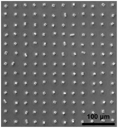 Anti-counterfeiting structure based on patterned perovskite single crystal array as well as preparation and application of anti-counterfeiting structure