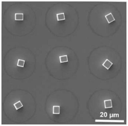 Anti-counterfeiting structure based on patterned perovskite single crystal array as well as preparation and application of anti-counterfeiting structure