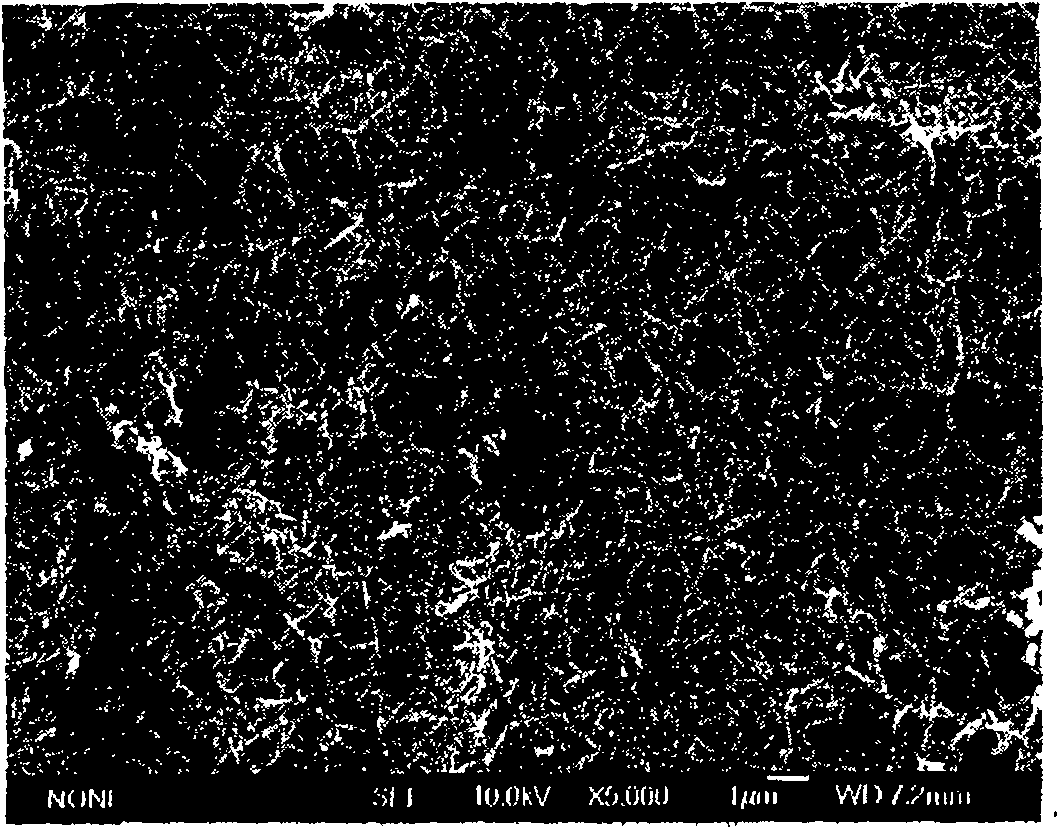 Composite electrode of high purity polyaniline nanometer line and method for preparing the same