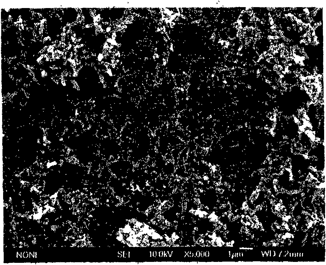 Composite electrode of high purity polyaniline nanometer line and method for preparing the same