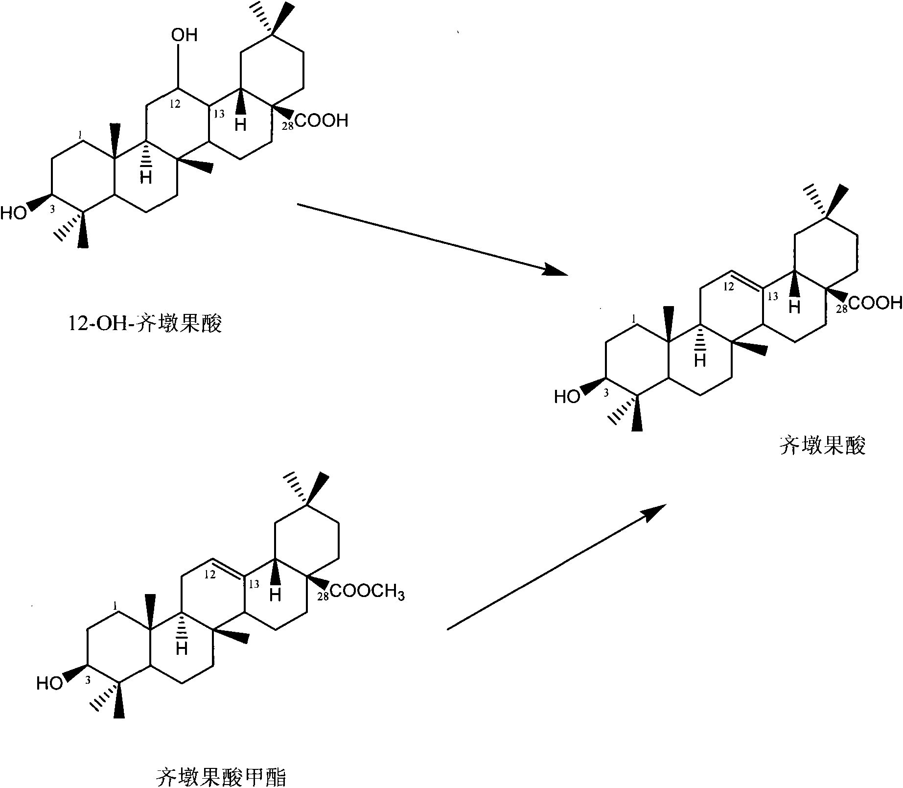 Preparation of oleanolic acid structure analogues and semisynthesis method of oleanolic acid