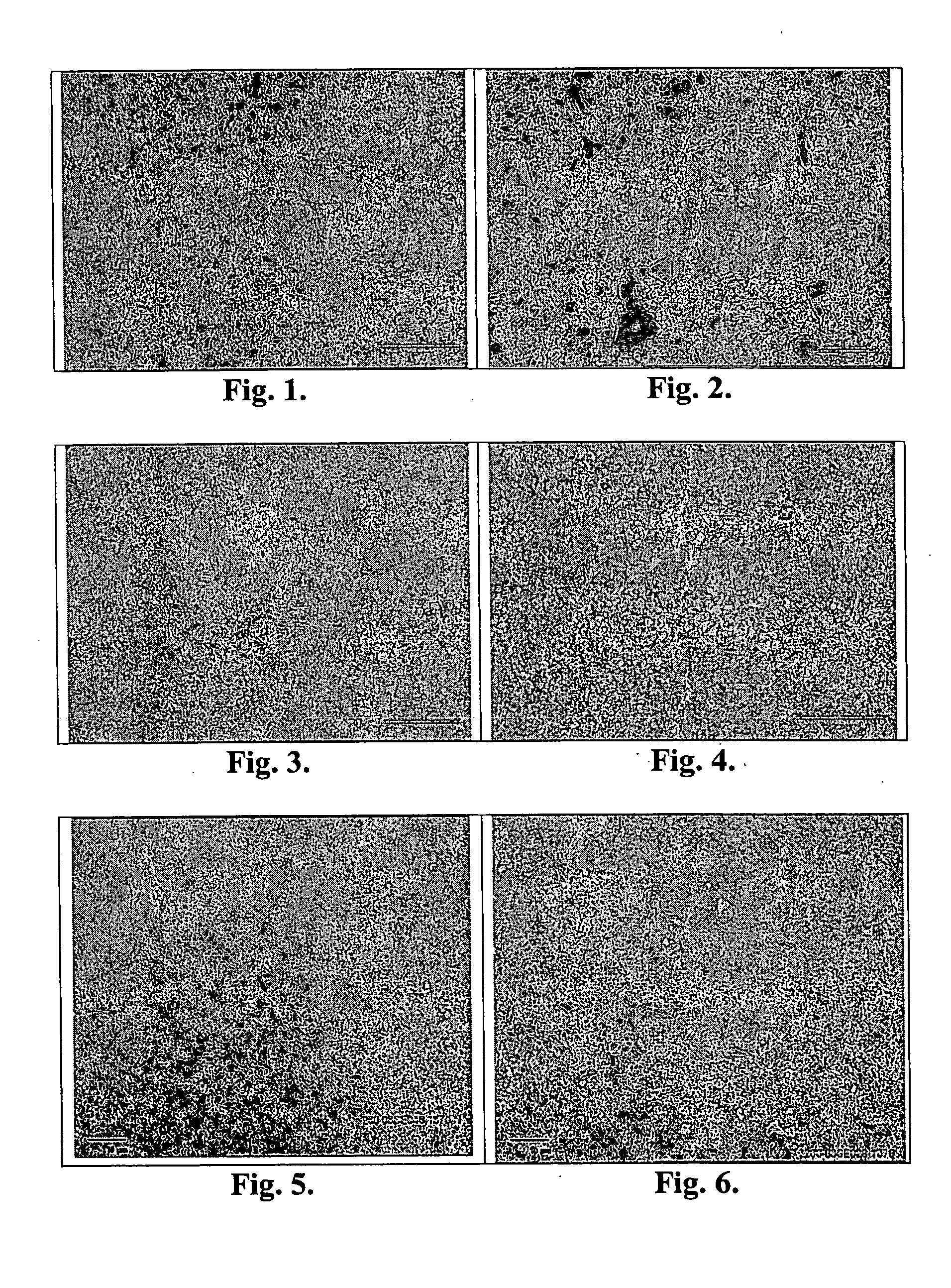 Method of making a fine grained cemented carbide